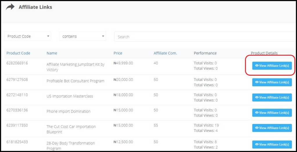 Make Money Online in Nigeria with Affiliate Marketing