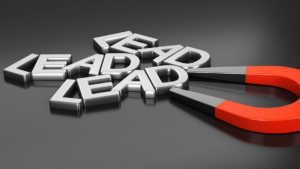 Read more about the article What are Lead Magnets